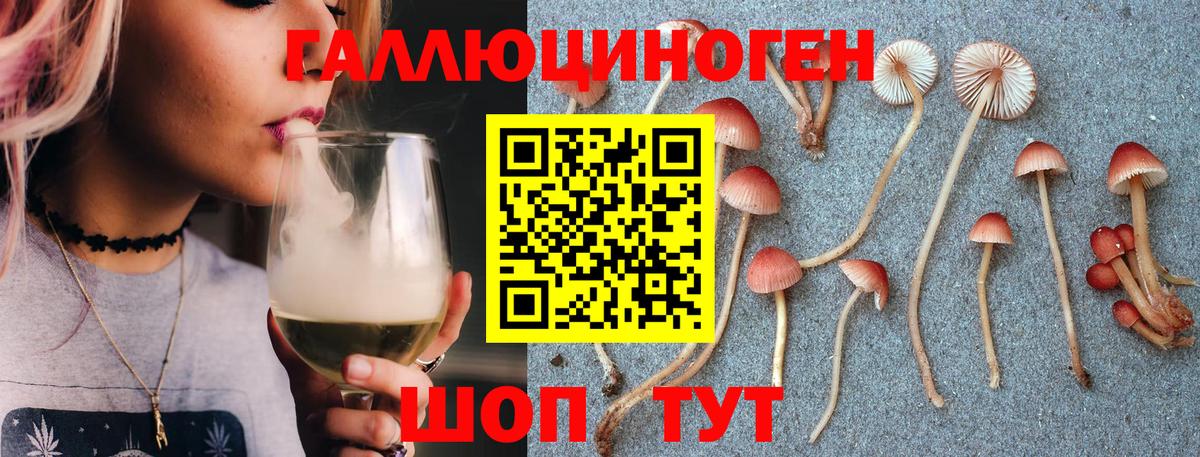 Псилоцибиновые грибы GOLDEN TEACHER Новоалександровск