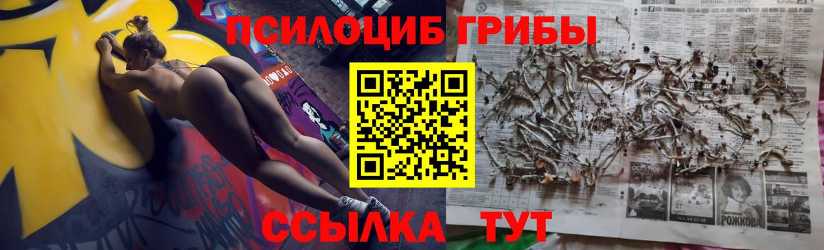 даркнет сайт  Псилоцибиновые грибы MAGIC MUSHROOMS  Вход с VPN  Новоалександровск 