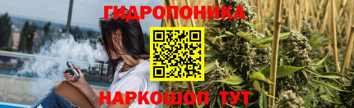 Бошки марихуана гибрид  Вход с VPN  Новоалександровск  Бошки марихуана OG Kush 